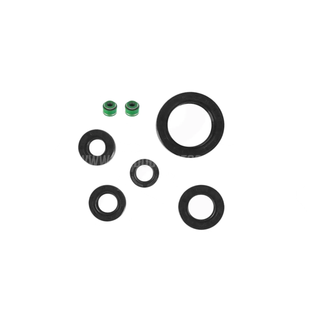RETEN MOTOR RX150/SKUA 150 JGO