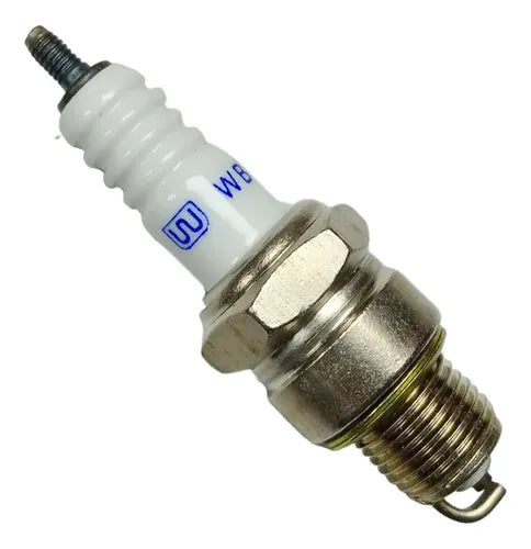 BUJIA C6HS